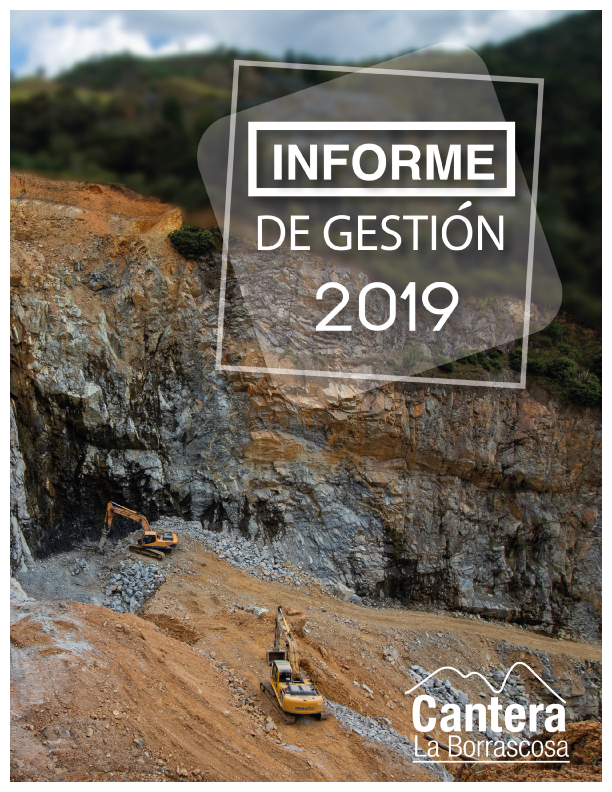 Informe-de-Gestión-Borrascosa-2019